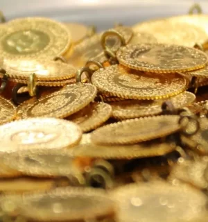 t25_uzman-isimden-gumus-ve-al-446